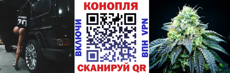 Конопля ГИДРОПОН Пушкино